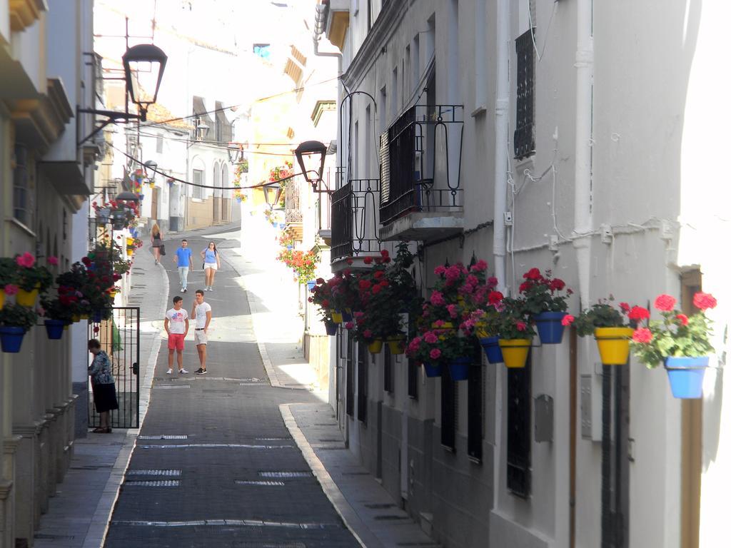 El Coronel, La Mejor Ubicacion, Descubre Estepona! 部屋 写真